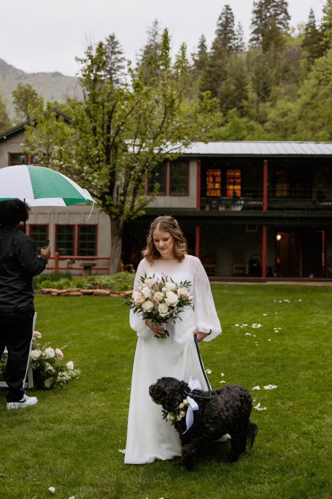 Image #4 from Janell Haws / USA, Utah